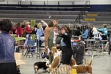 2012 BHCC National Specialty Veteran Sweepstakes